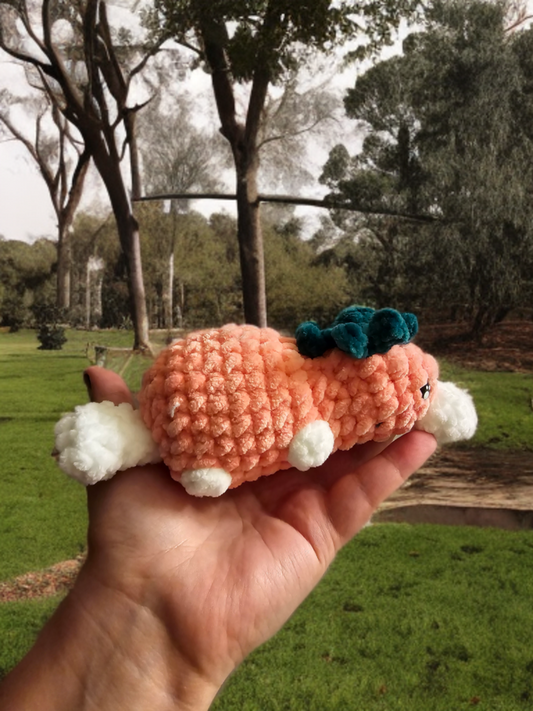 Mini Platypus