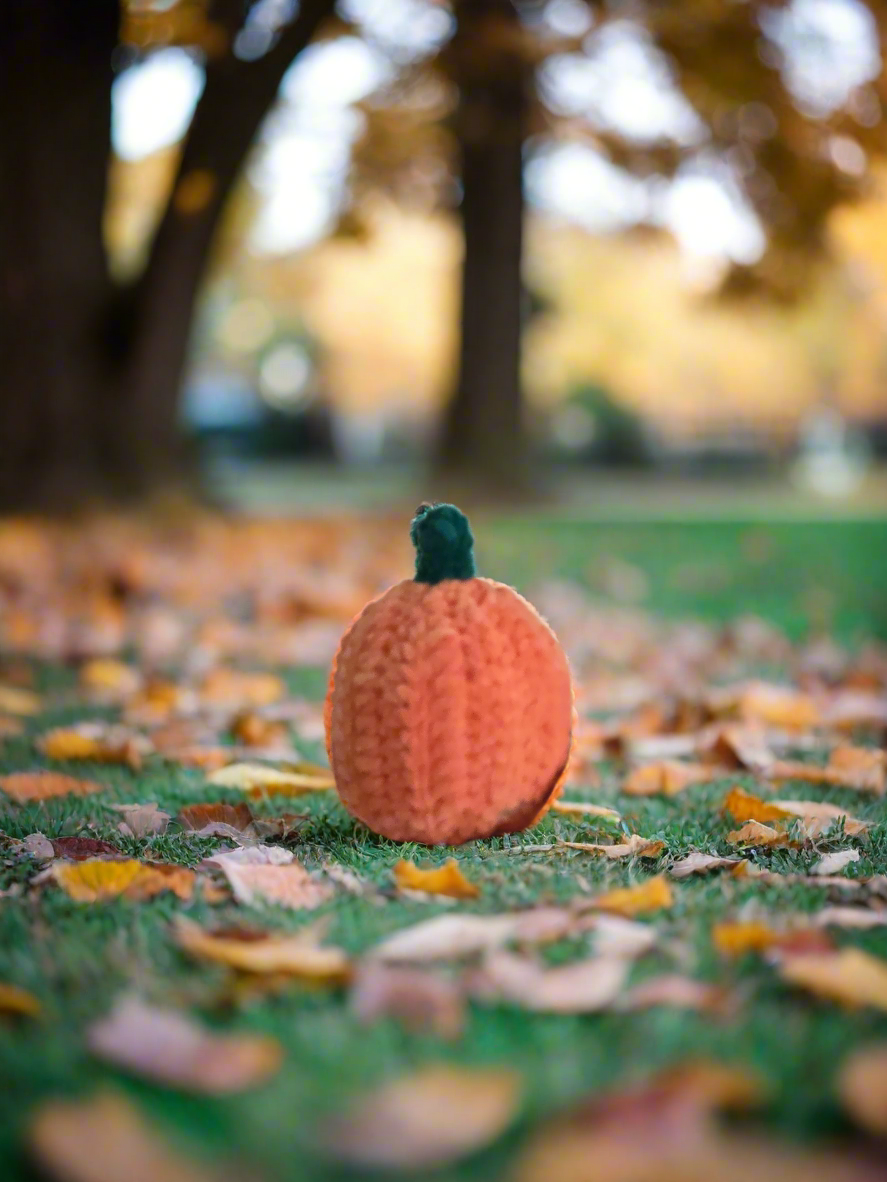 Eggy Pumpkin